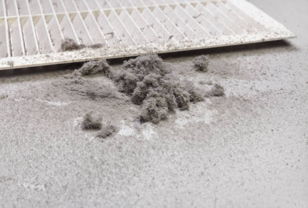 Best Home Air Vent Cleaning  in Dolan Springs, AZ