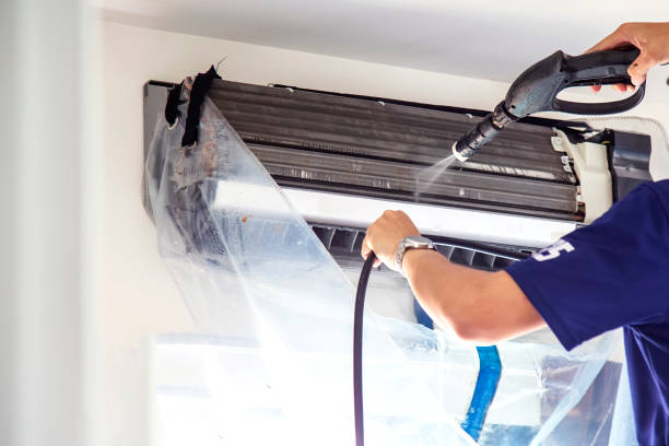 Best Air Vent Cleaning Services  in Dolan Springs, AZ