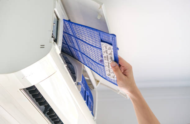 Best Air Duct Mold Removal  in Dolan Springs, AZ