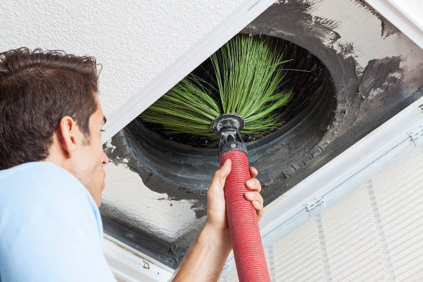 Best Best Air Duct Cleaning Company  in Dolan Springs, AZ
