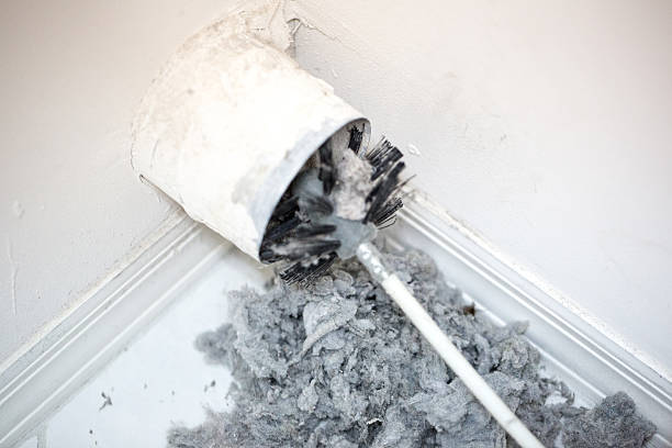 Best Affordable HVAC Duct Cleaning  in Dolan Springs, AZ