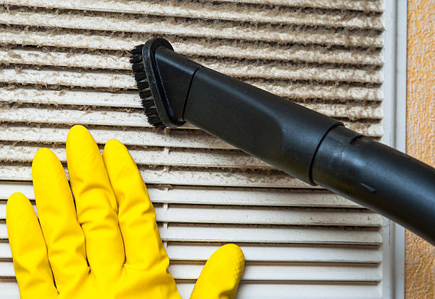 Best Local Air Duct Cleaning Services  in Dolan Springs, AZ