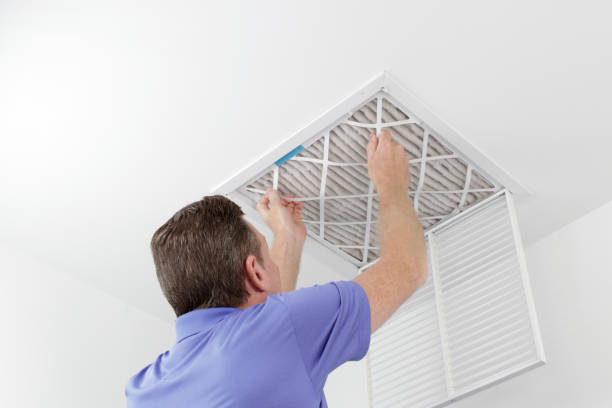 Best HVAC Duct Inspection Services  in Dolan Springs, AZ